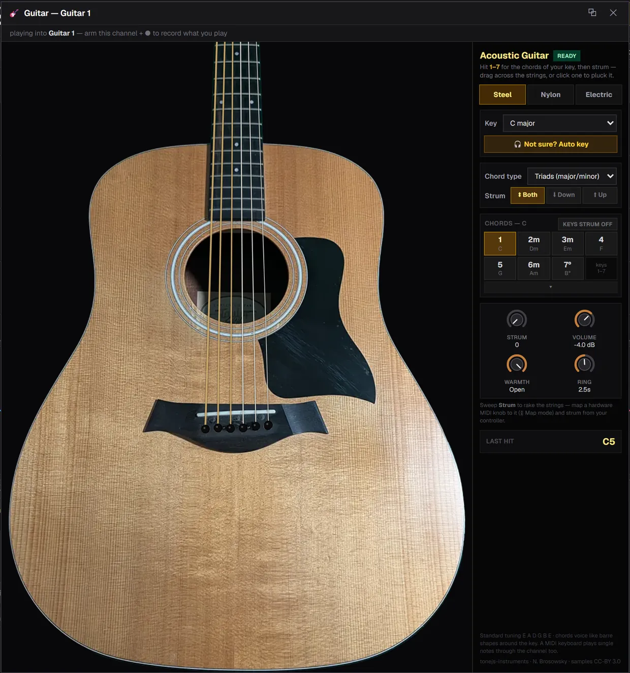The playable Acoustic Guitar window in SoundCraft, six strings over the guitar photo with the Nashville chord pad beside it