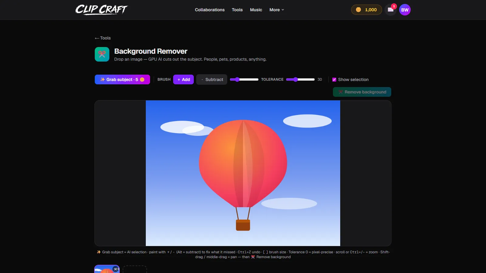 An image loaded in the Background Remover showing the Grab subject button, brush controls and tolerance slider